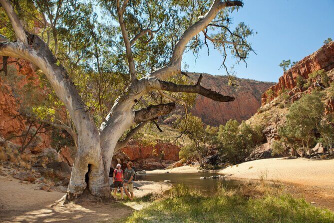 West MacDonnell Ranges Tour from Alice Springs - What the Tour Includes and What to Keep in Mind