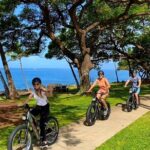 West Maui eBike Island Explorer Full-Day Rental - Practical Details and Tips