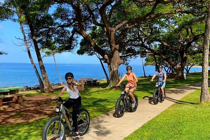 West Maui eBike Island Explorer Full-Day Rental - Practical Details and Tips