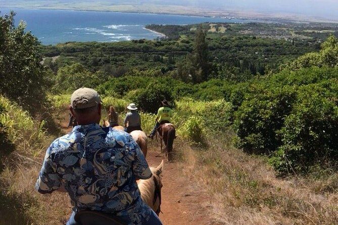West Maui Mountain Waterfall and Ocean Tour via Horseback - What Makes This Tour Stand Out?