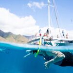 West Maui Snorkel & Sail from Ma'alaea Harbor - Practicalities and Considerations