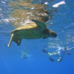 West Maui Snorkeling Experience by Boat from Ka'anapali - The Crew & Guides: The Heart of the Experience