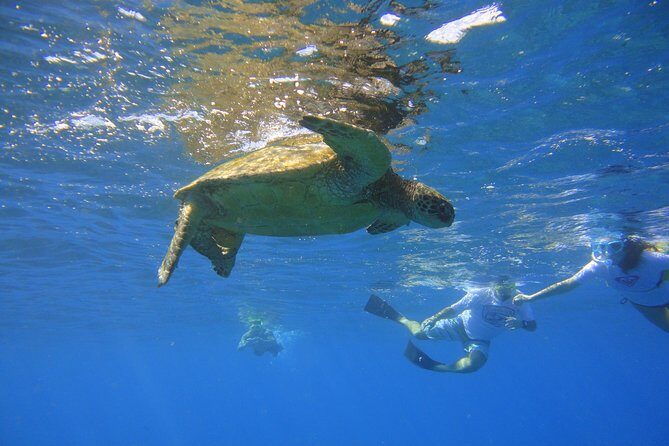 West Maui Snorkeling Experience by Boat from Ka'anapali - The Crew & Guides: The Heart of the Experience
