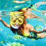 West Oahu: Turtles, Dolphins, and Snorkeling Tour with Lunch - A Detailed Look at the Experience