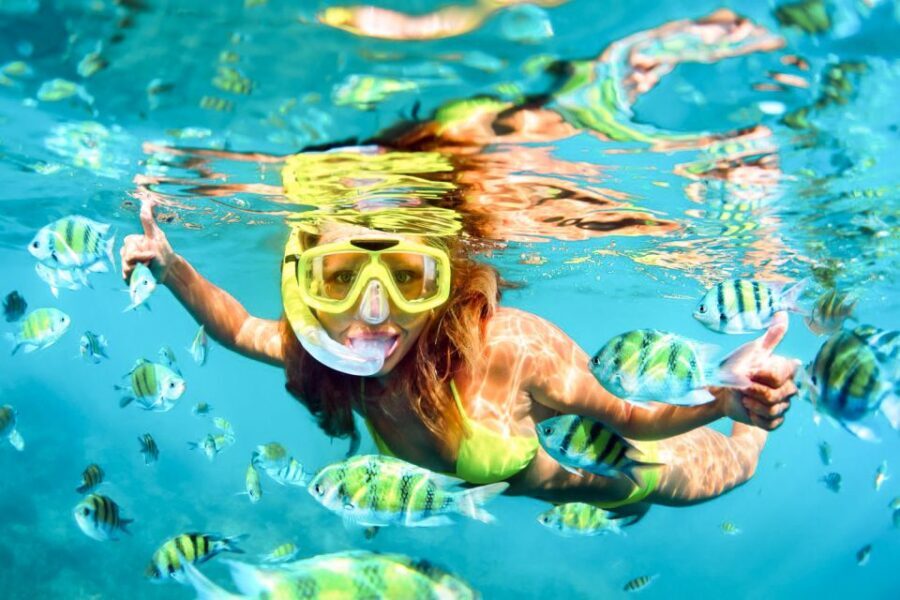 West Oahu: Turtles, Dolphins, and Snorkeling Tour with Lunch - A Detailed Look at the Experience