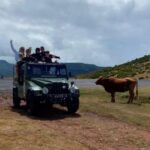 West Safari - The natural pool Porto Moniz Open Roof Jeeps - The Experience: What’s Included and What’s Not