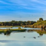 Western Australias Paradise: A Private Day Tour from Perth - What Sets This Tour Apart?