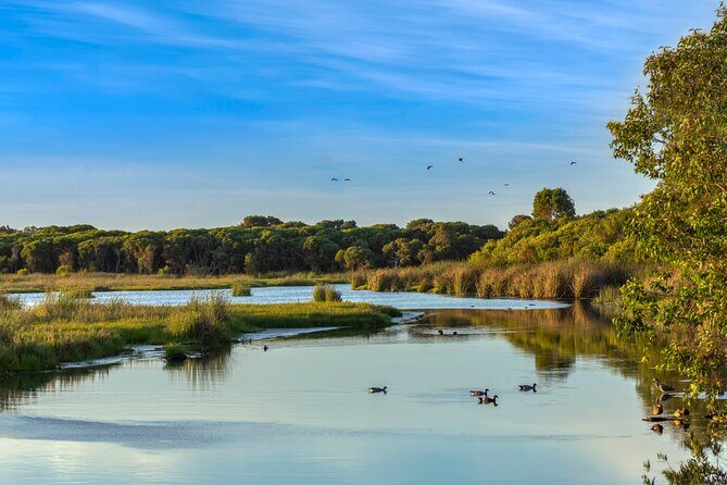 Western Australias Paradise: A Private Day Tour from Perth - What Sets This Tour Apart?