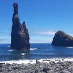 Western Madeira: Private Island Tour - A Forest and Coastal Adventure