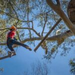 Western Sydney: Tree Ropes Courses - Why This Experience Matters