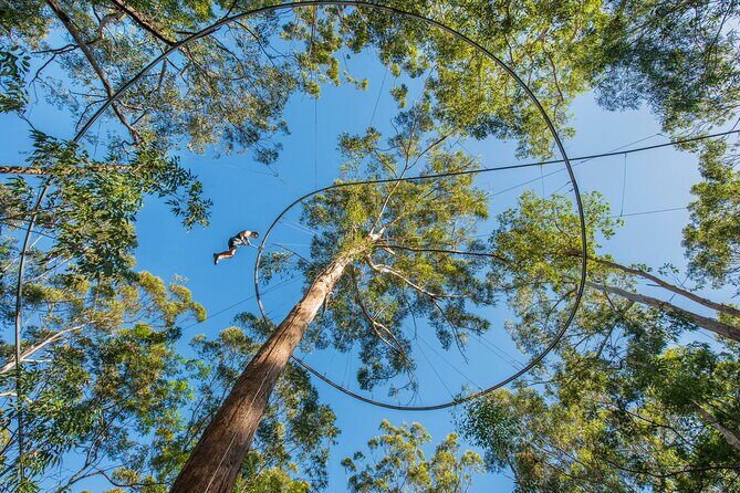 Western Sydney Zipcoaster Experience - Final Thoughts