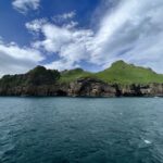 Westman islands Private tour - What’s Included and What to Consider