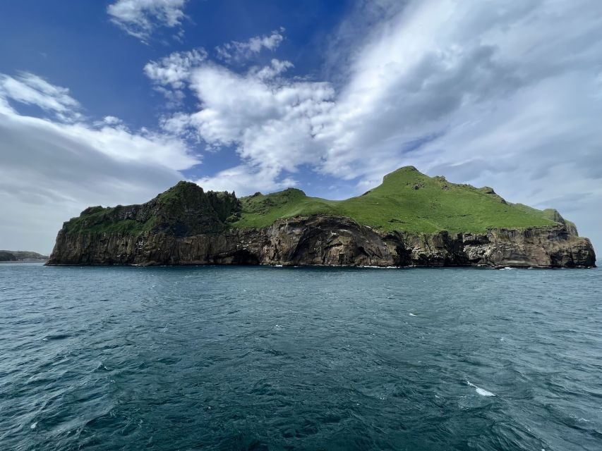 Westman islands Private tour - What’s Included and What to Consider