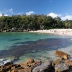 Wet & Dry Manly from Sydney - Who Will Love This Tour?