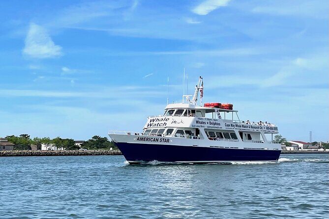 Whale Dolphin and Bird Watching Ecotour Cruise - Authentic Feedback from Travelers