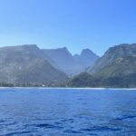 Whale watching DE Humpback West Coast of Tahiti - Why This Tour Offers Great Value