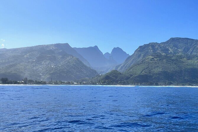 Whale watching DE Humpback West Coast of Tahiti - Why This Tour Offers Great Value