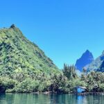 Whale watching DE Tahiti Peninsula - Final Thoughts: Why It’s a Good Choice