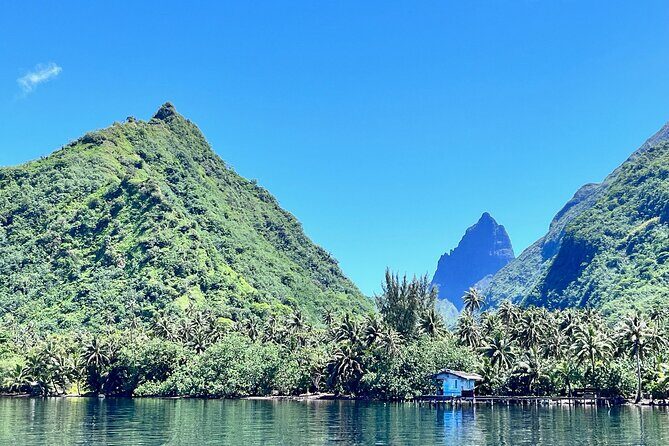 Whale watching DE Tahiti Peninsula - Final Thoughts: Why It’s a Good Choice