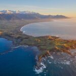 Whale Watching in Kaikoura - Ultimate Experience - The Sum Up