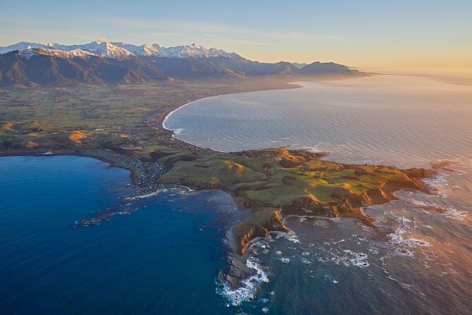 Whale Watching in Kaikoura - Ultimate Experience - The Sum Up