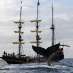 Whale-Watching Pirate Ship Cruise in Los Cabos - The Pirate Ship Atmosphere and Crew