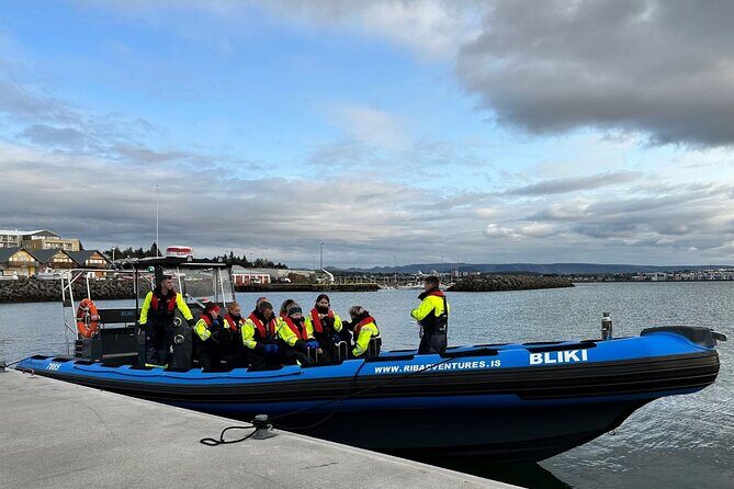 Whale Watching - RIB Boat Adventure in Kopavogur, Iceland - The Hunt for Whales and Dolphins