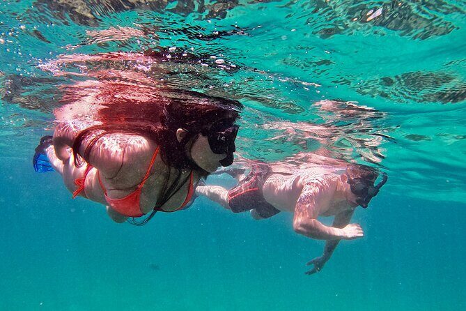 Whale Watching & Snorkeling Combo in Los Cabos with Photos Included - Who Is This Tour Best For?