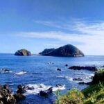 Whale Watching Tour + Vila Franca Islet: Full-day with lunch - What to Expect in Terms of Value and Experience