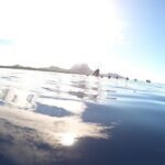 Whale Watching Tours in Bora Bora - Who Will Love This Tour?