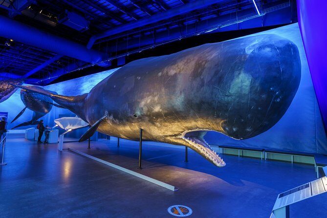 Whales Of Iceland Admission Ticket - FAQs