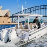 Whales of Sydney Sea Safari - Private - The Sum Up