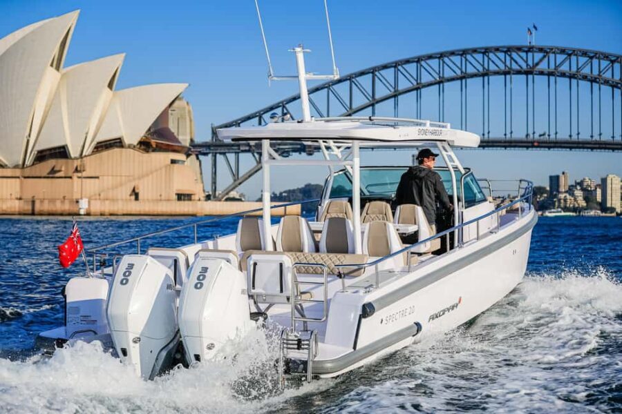 Whales of Sydney Sea Safari - Private - The Sum Up