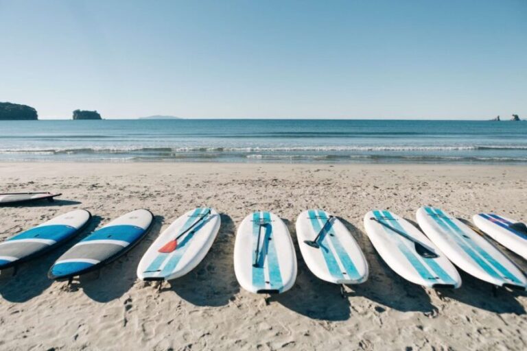Whangamata: Donut Island Guided Kayaking Experience - Authentic Experiences and Real Reviews