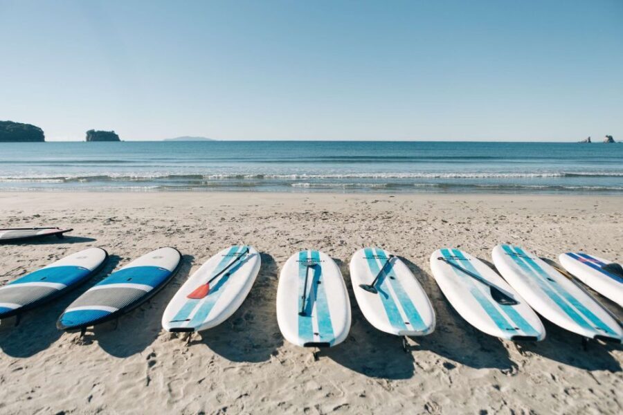 Whangamata: Donut Island Guided Kayaking Experience - Authentic Experiences and Real Reviews