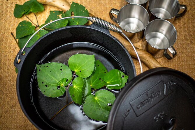 Whirinaki Forest Footsteps: Mori Guided Tour, Picnic & Transfer - Why This Tour Works for Different Travelers