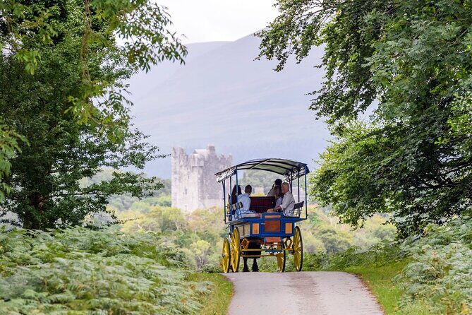 Whiskey & Wonders in Killarney - FAQ