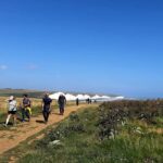 White cliffs of the Seven Sisters and Beachy Head Tour - The Practicalities: What You Need to Know