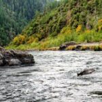 Whitewater Fishing and Rafting Experience in Rogue River - Why This Tour Might Be Perfect for You