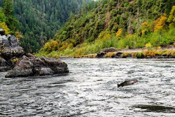Whitewater Fishing and Rafting Experience in Rogue River - Why This Tour Might Be Perfect for You