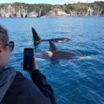 Whitianga: 2-Hour Cathedral Cove and Volcanic Coast Cruise - How the Tour Is Structured