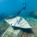 Whitsundays Premium Private Charter - Axopar 37 'Cheeky' - Authentic Experiences from Guests