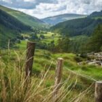 Wicklow and Glendalough Private Chauffeured Sightseeing Tour - Why This Tour Delivers Real Value