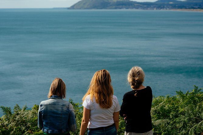 Wicklow Mountains Private Day Trip from Dublin - Transportation and Comfort