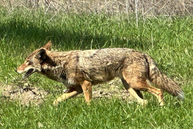 Wild backside of Griffith Park and LA River by luxury e-bike - Why This Tour Stands Out