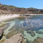 Wild Beaches & Snorkeling Tour - A Deep Dive into the Wild Beaches & Snorkeling Tour