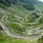 Wild Bears Safari on Transfgran - Small group max 7 Tourists - Who Should Consider This Tour?