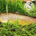 Wild Brown Trout fishing. Lough Corrib. French speaking Ghillie/Guide. Full day. - FAQs
