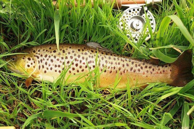 Wild Brown Trout fishing. Lough Corrib. French speaking Ghillie/Guide. Full day. - FAQs