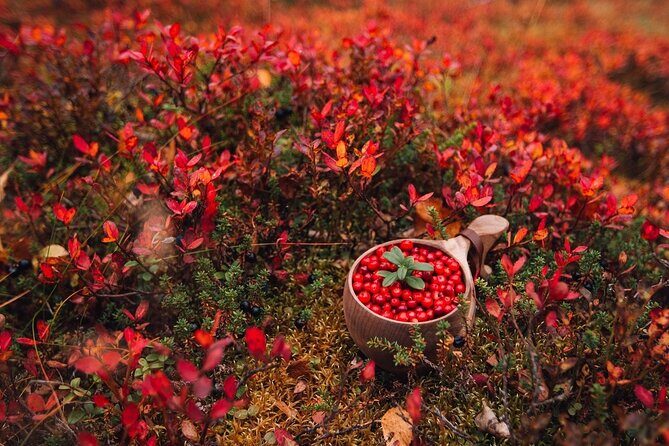 Wild Food & Foraging Hike with Open Fire Lunch - Final Thoughts